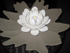 Lotus