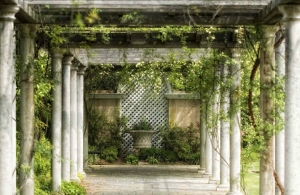 Pergola