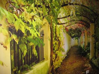 July 2012 Newsletter